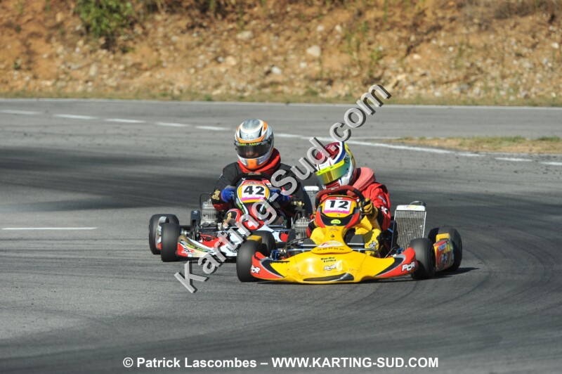 DSC_ (1181).JPG